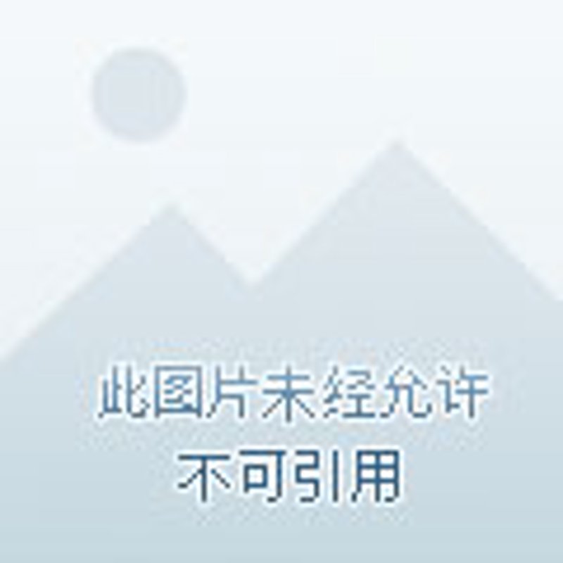 内容生成器：打造专属写作工具的步骤